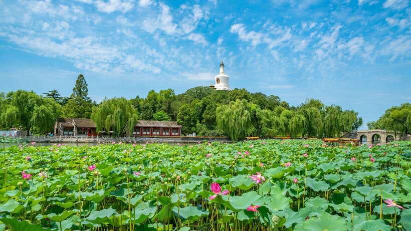 Beijing: Beihai Park Entry Ticket & English PDF Guidebook - The Walk I’d Follow: Jade Island and the White Dagoba