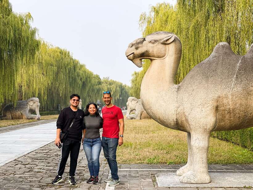 Beijing: Great Wall and Ming Tomb All-inclusive Private Tour - Mutianyu Great Wall: Getting to Tower Areas Without Losing the Day