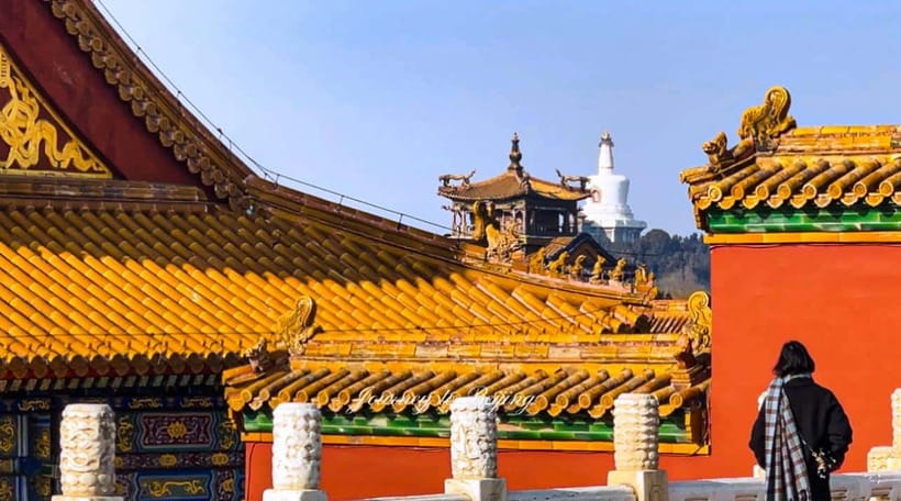 Beijing: Highlights of Forbidden City Private Walking Tour - Summer Palace in the Afternoon: Landscapes and Long Walks