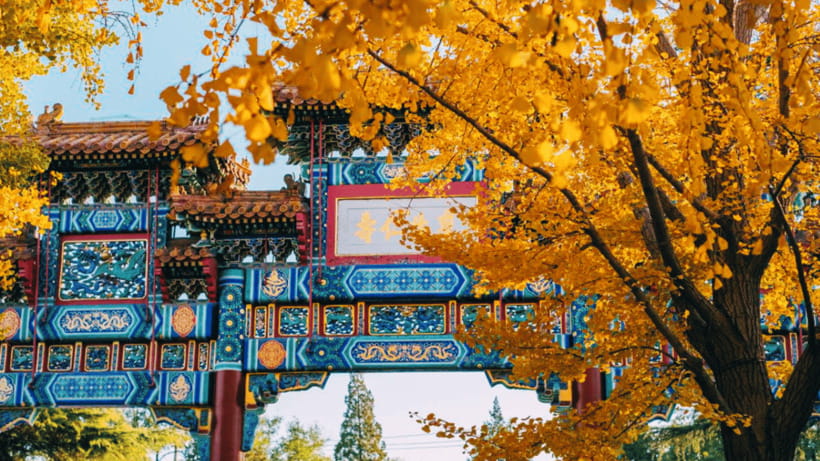 Beijing: Lama Temple (Yonghe Temple) Admission Ticket - Architecture lovers: why this complex looks different up close