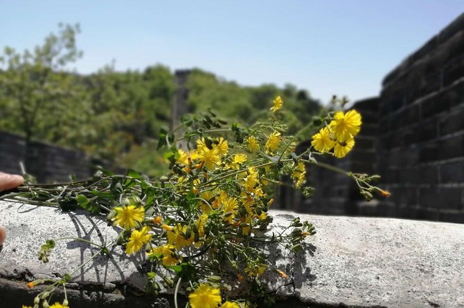 Beijing Private Transfer: Badaling Great Wall with VIP Past Pass - Badaling VIP entry: saving time you’ll actually feel