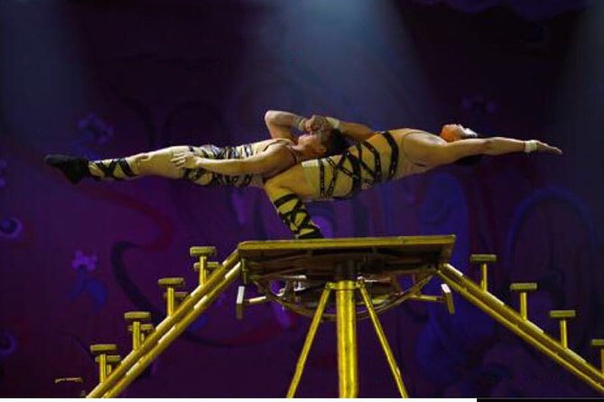 Beijing Red Theater Acrobatic Show with Private Transfer Service - Quick Take: What Makes This Show Package Worth It