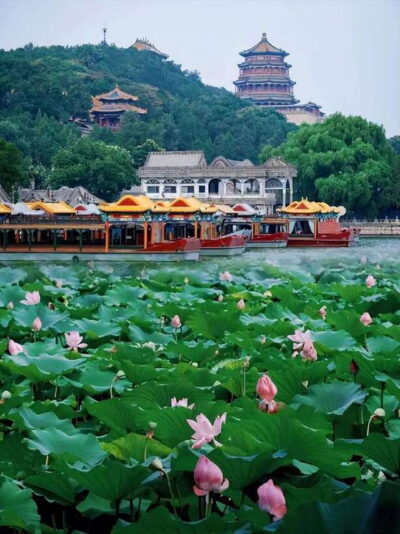 Beijing: Summer Palace Entry Ticket - Donggongmen Gate entry: how the QR scan actually works