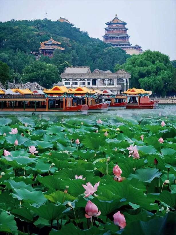Beijing: Summer Palace Entry Ticket - Donggongmen Gate entry: how the QR scan actually works