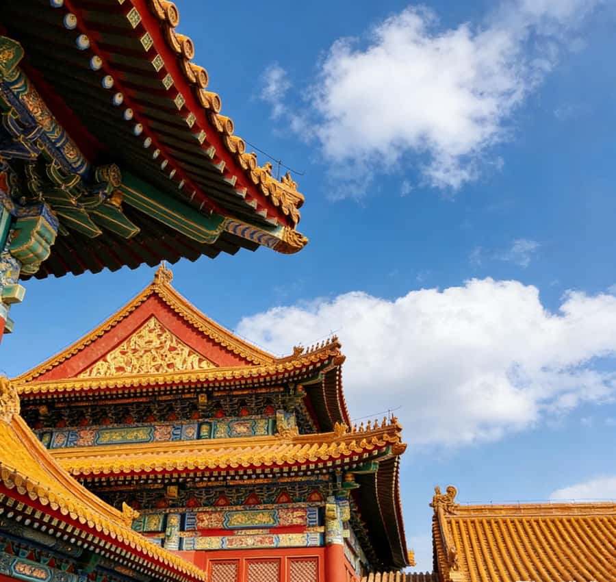 Beijing: Temple of Heaven and Forbidden City Private Tour - Tiananmen Square in About an Hour: What to Look For Without Feeling Rushed