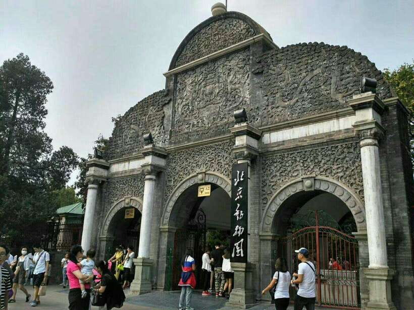 Beijing: The Beijing Zoo Entry Ticket with Pandas - Key points before you go
