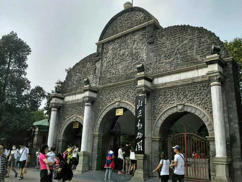 Beijing: The Beijing Zoo Entry Ticket with Pandas - Who This Works Best For in Beijing
