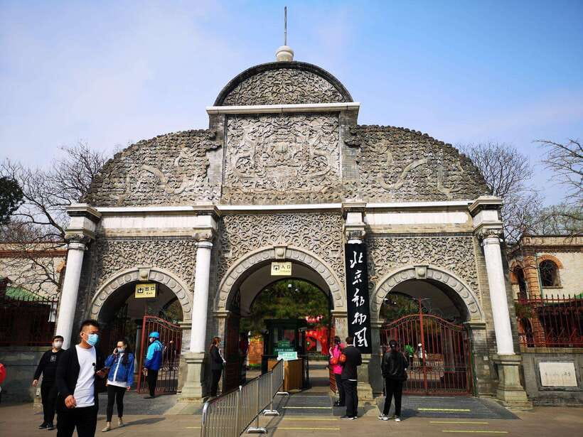 Beijing: The Beijing Zoo Entry Ticket with Pandas - Should You Book This Beijing Zoo Ticket?