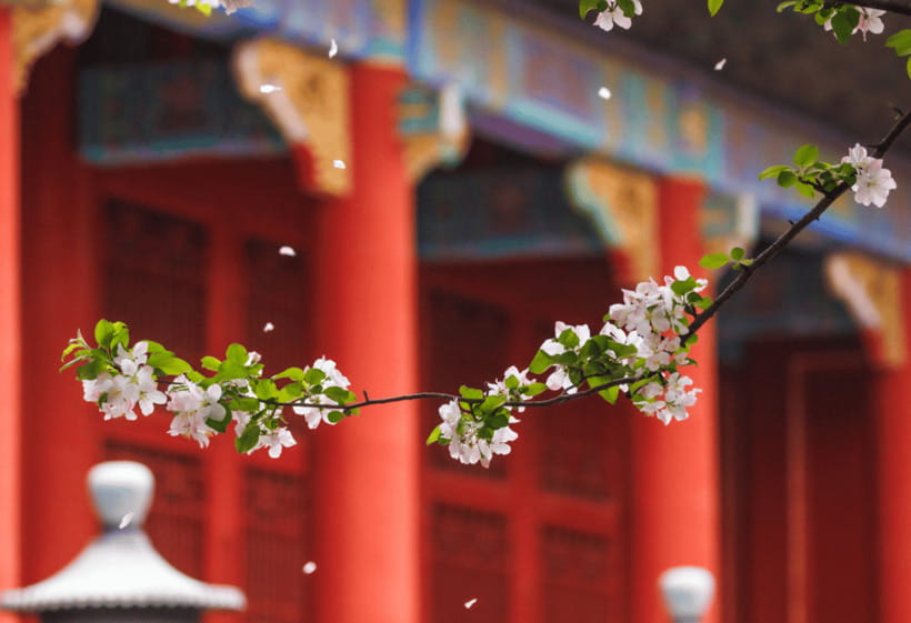 Beijing: Tiananmen Square and Forbidden City Entry Tickets - Guided 3–4 Hours: The Central Axis Route You’ll Feel Confident About