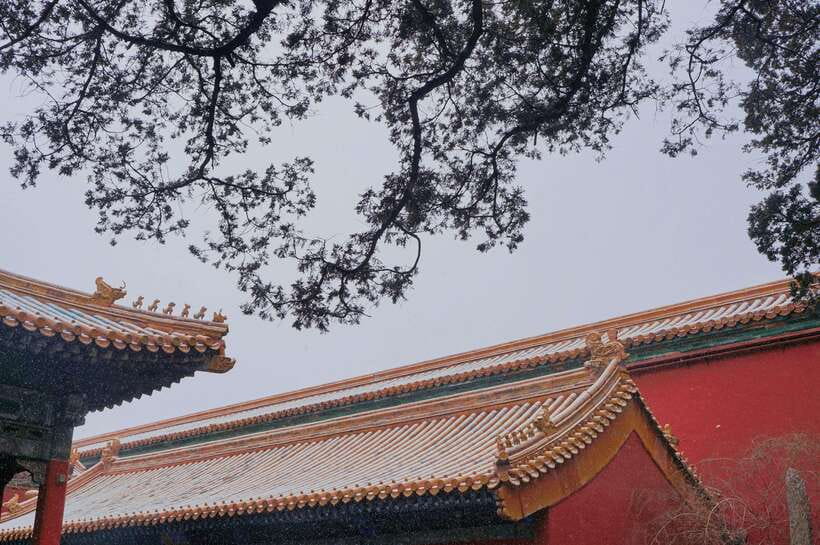 Beijing:Forbidden City & Tian'anmen Square with entry ticket - Jinshan Park: the quick view that resets your whole visit