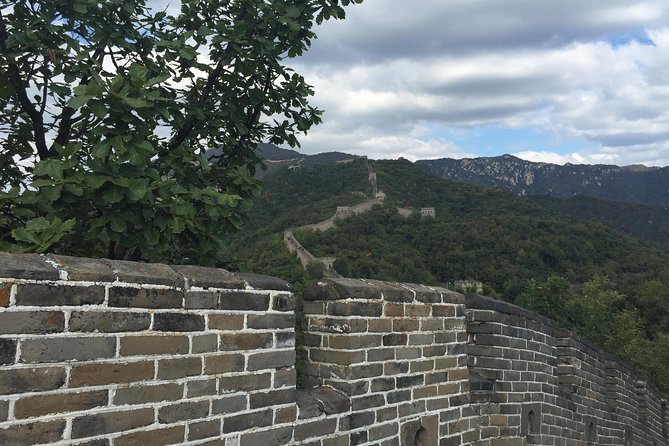 Beijing:Great Wall&Forbidden City Tour(Mini Group/Private Option) - Price and What You Actually Get for Your Money
