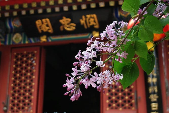 BusDa-Full-Day Bus Trips: Mutianyu, Summer & Old Summer Palaces - Guide Style Matters: The Storytelling Advantage