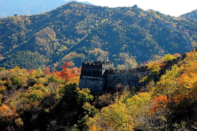 Great Wall of China at Mutianyu Full-Day Tour Including Lunch from Beijing - Should you book the Mutianyu full-day tour from Beijing?