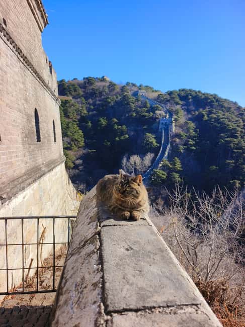 Mutianyu Great Wall Private Tour with English Driver - Timing tips, season reality, and what to bring