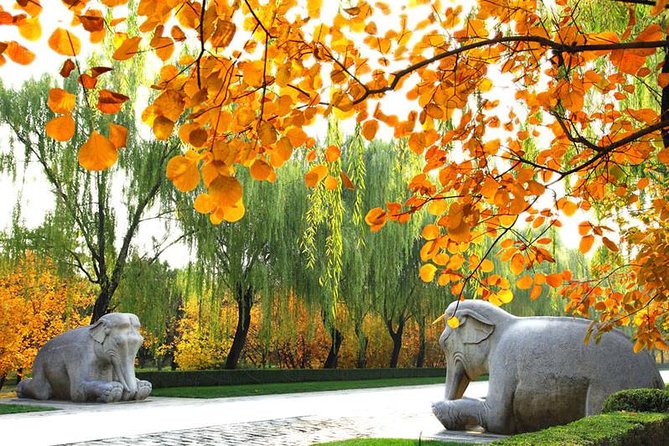 Private Beijing Day Trip: Mutianyu Great Wall and Ming Tombs - Hotel pickup and the 1.5-hour drive: the part you can’t skip