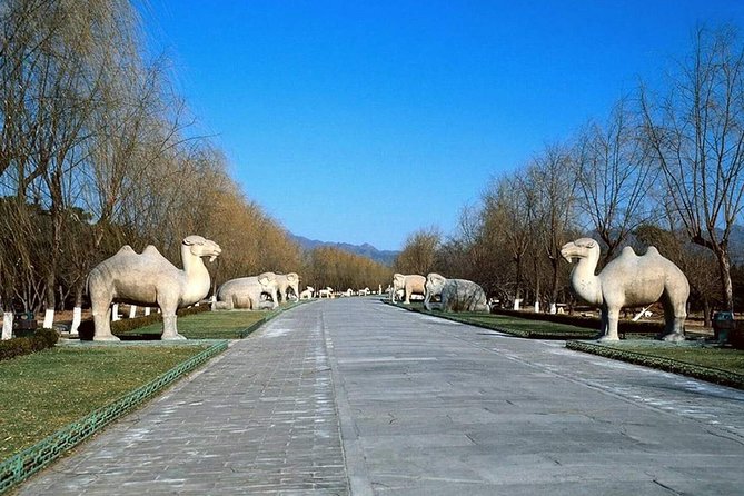 Private Tour to Mutianyu Great Wall and Ming Tombs - Price and value: why $110 can make sense for this route