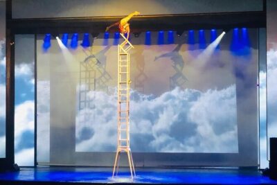 Red Theatre Beijing Acrobatics Show Ticket - Ticket QR rules (the part that can save you stress)