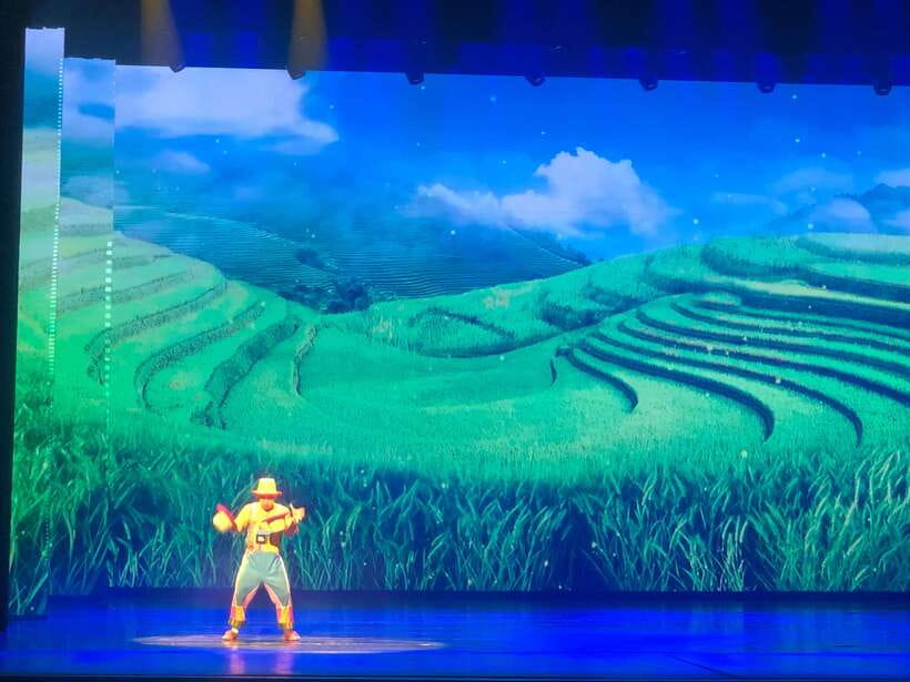 Red Theatre Beijing Acrobatics Show Ticket - Should you book the Red Theatre Beijing acrobatics ticket?